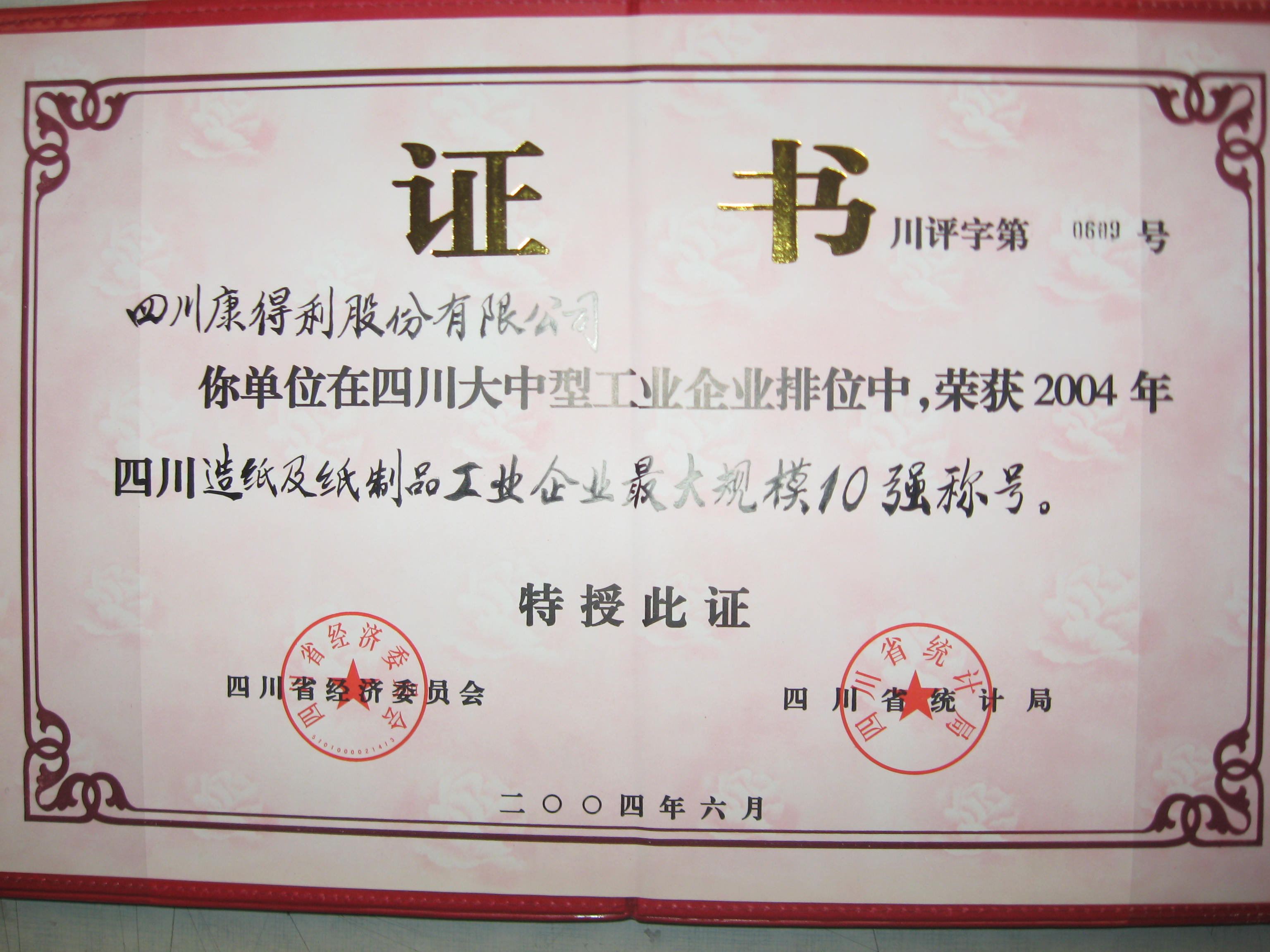 2004四川造紙及紙制品工業企業最大規模10強